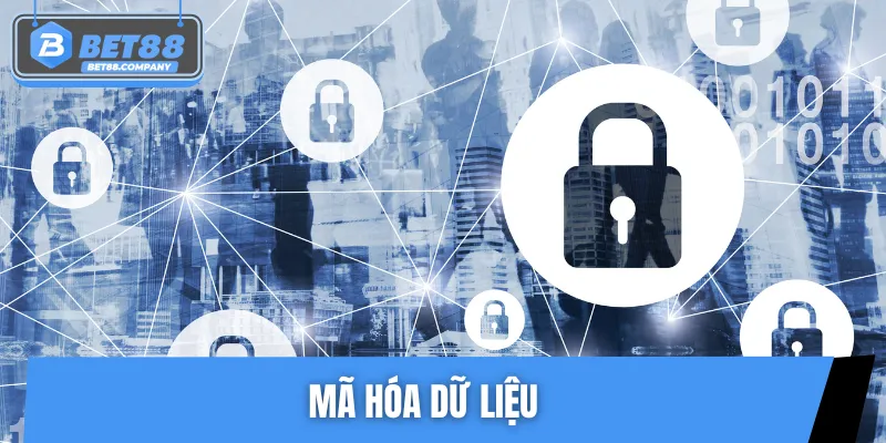 Mã hóa dữ liệu tối ưu, bảo vệ thông tin tuyệt đối