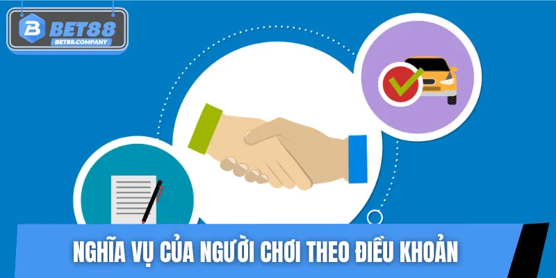 Trách nhiệm quan trọng của hội viên trong điều khoản điều kiện