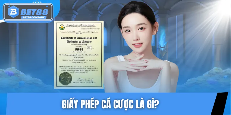 Khái quát nhanh thông tin về giấy phép cá cược