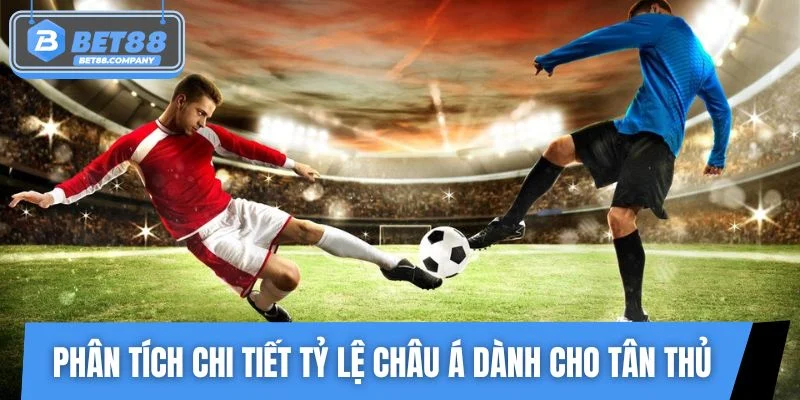 Phân tích chi tiết tỷ lệ châu Á dành cho tân thủ