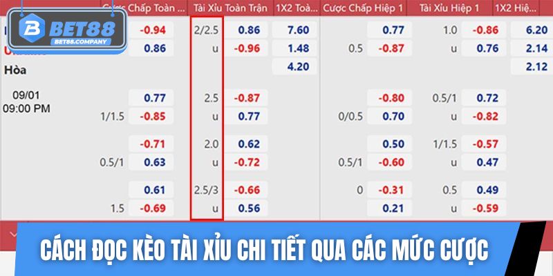 Nắm rõ cách đọc kèo tài xỉu chi tiết qua các mức cược