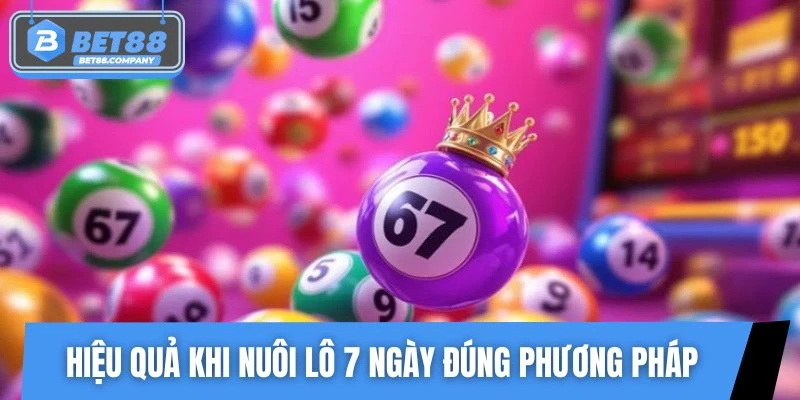 Hiệu quả khi nuôi lô 7 ngày đúng phương pháp