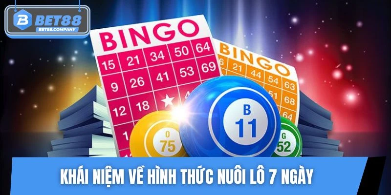 Khái niệm về hình thức nuôi lô 7 ngày