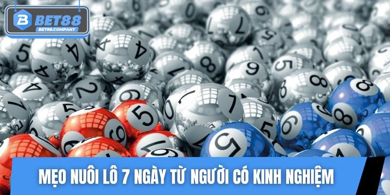 Mẹo nuôi lô 7 ngày hiệu quả từ người có kinh nghiệm