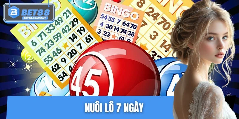 Nuôi Lô 7 Ngày Thực Chiến - Bí Quyết Giảm Rủi Ro Hiệu Quả